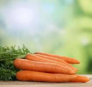 Roulés de carottes farcies au riz et bœuf haché